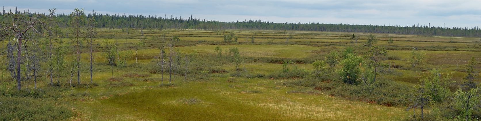 BirdLife Suomi Lausunnot Ja Aloitteet