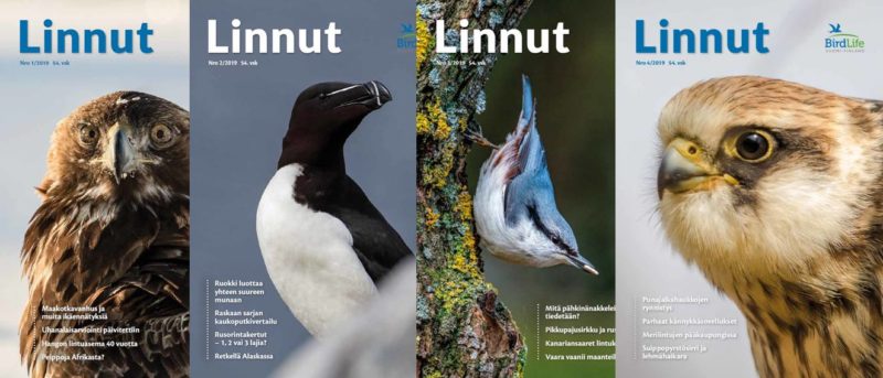 Birdlife Suomi | Linnut-lehti