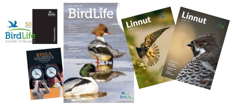 BirdLife Suomi | Liity Jäseneksi