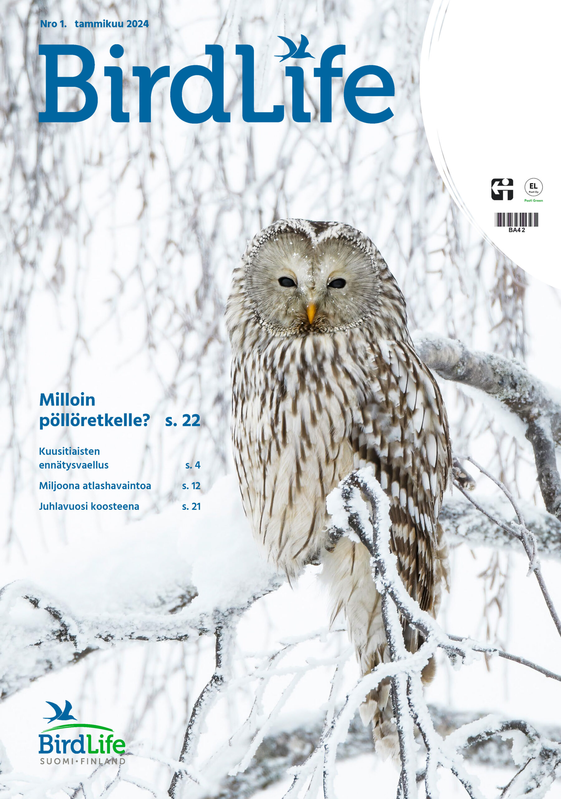 BirdLife Suomi | BirdLife 1/2024