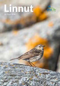 BirdLife Suomi | Yhdessä Lintujen Puolesta