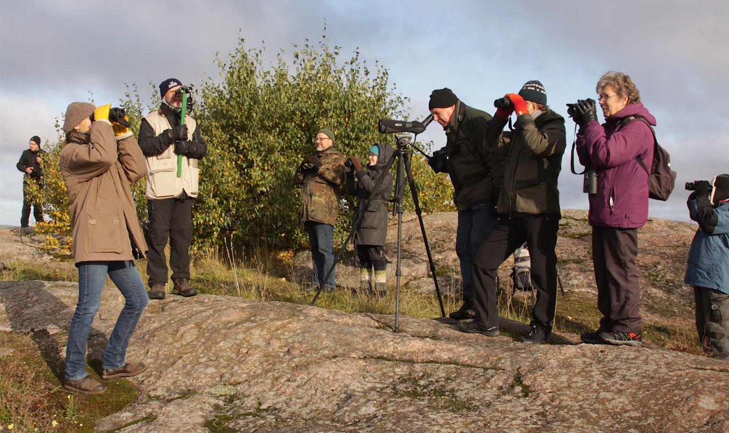 EuroBirdwatch 2019 Lohjan Kukkumäellä. Kuva: Jan Södersved