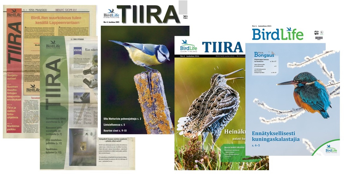 Tiira- ja BirdLife-lehtien kansia