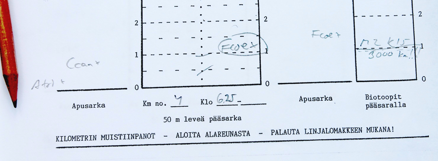 Linjalaskentalomake. Kuva: Ari Rajasärkkä